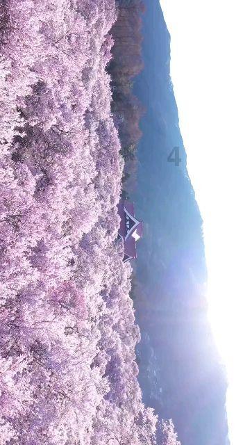 球球大作战下载最新版